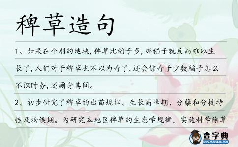 稗草造句