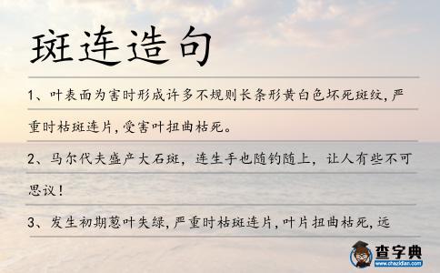 斑連造句