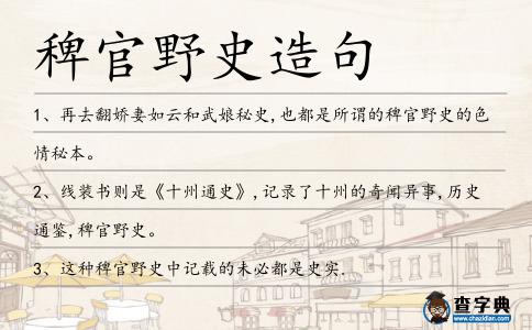 稗官野史造句