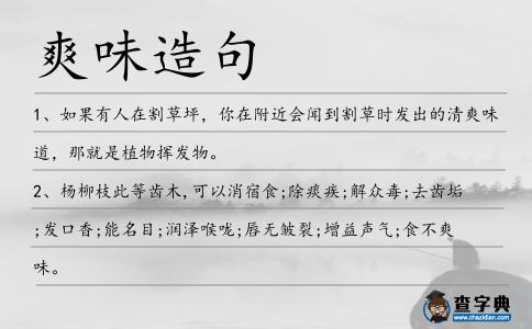 爽味造句