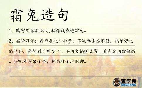 霜兔造句