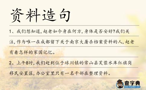 資料造句