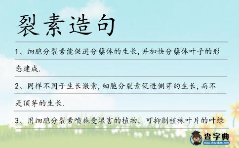 裂素造句