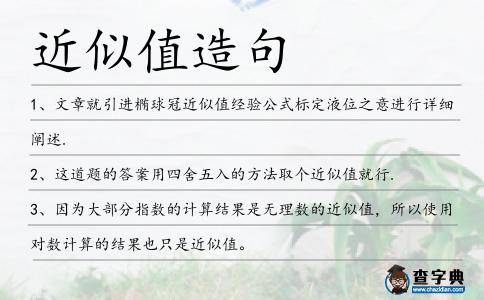 近似值造句