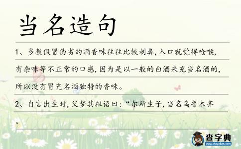 當(dāng)名造句