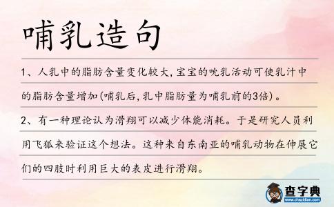 哺乳造句