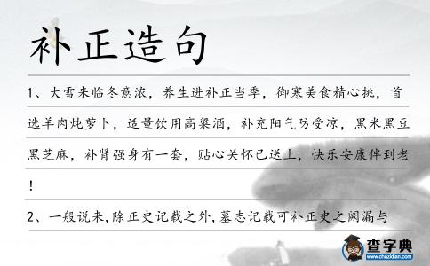 補(bǔ)正造句