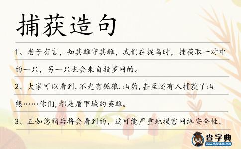 捕獲造句