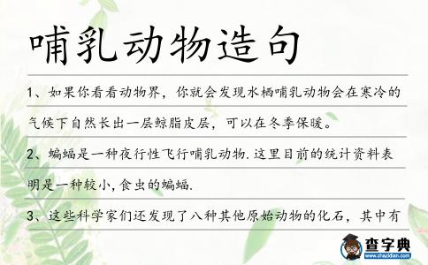 哺乳動(dòng)物造句