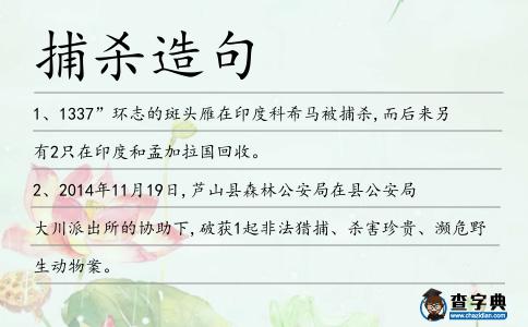捕殺造句