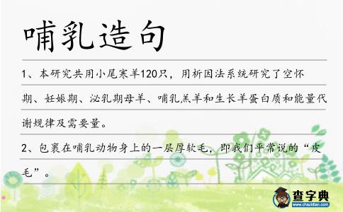 哺乳造句