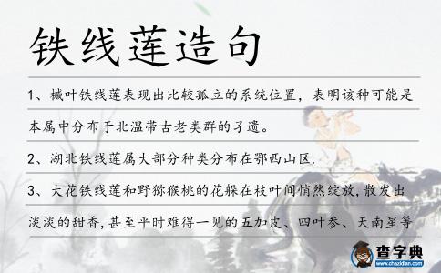 鐵線蓮造句
