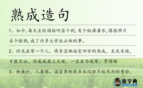 熟成造句