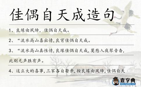 佳偶自天成造句