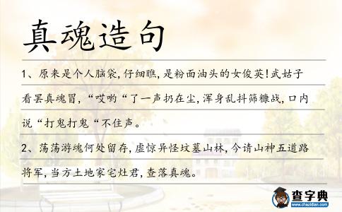 真魂造句