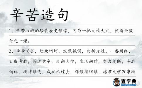 辛苦造句