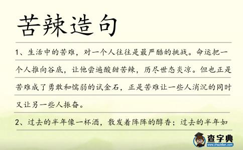 苦辣造句