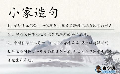 小家造句
