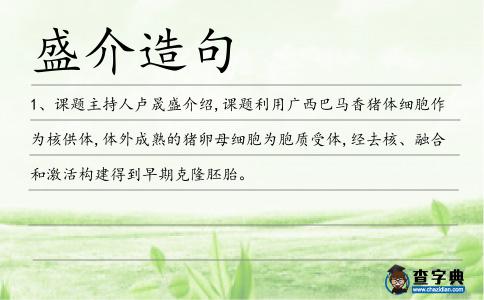 盛介造句