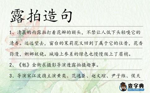 露拍造句