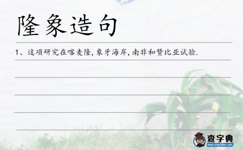 隆象造句