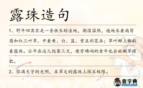 露珠造句