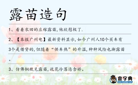 露苗造句