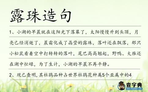 露珠造句
