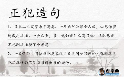 正犯造句