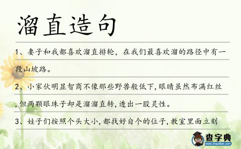 溜直造句