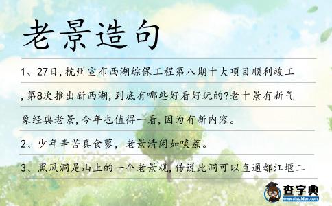 老景造句
