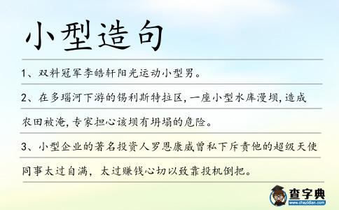 小型造句