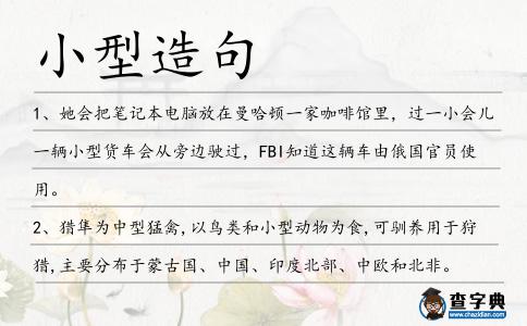 小型造句