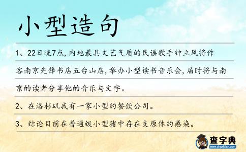 小型造句