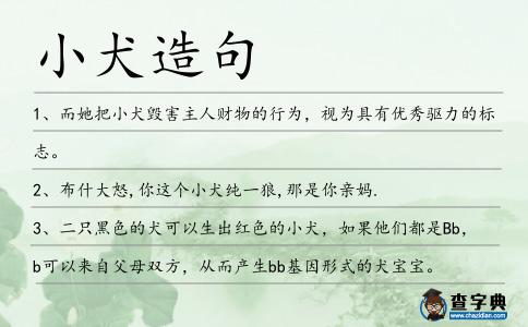 小犬造句