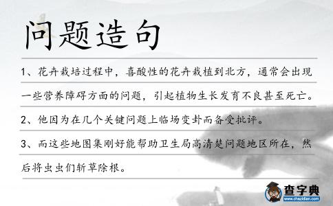 問題造句