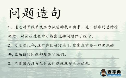 問題造句