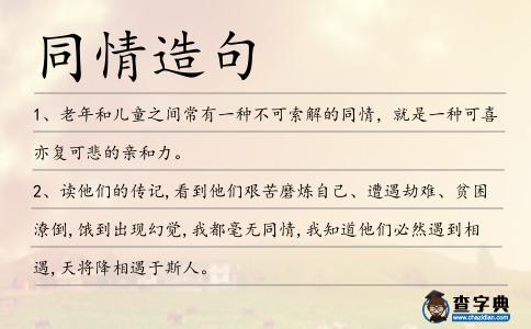 同情造句