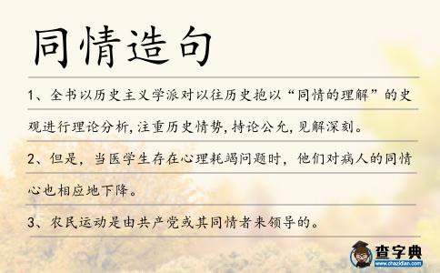 同情造句