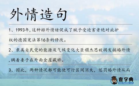 外情造句