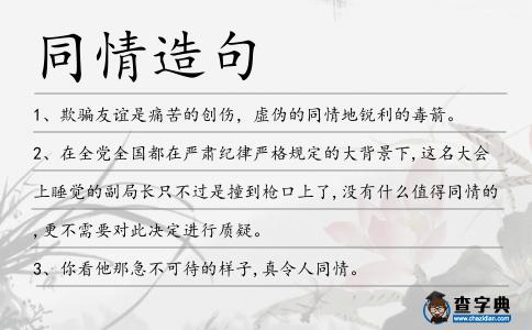 同情造句
