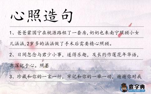 心照造句