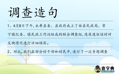 調(diào)查造句