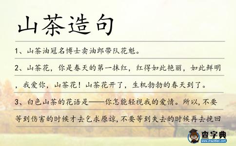 山茶造句
