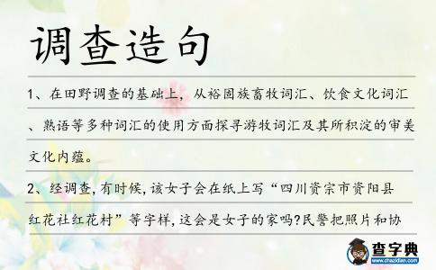 調(diào)查造句