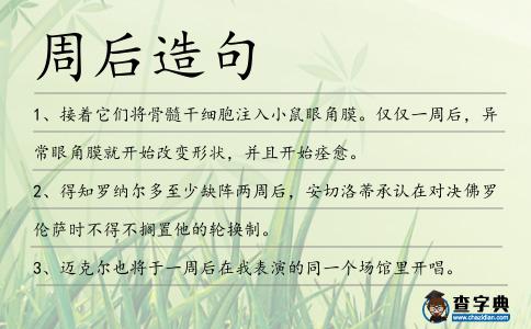 周后造句