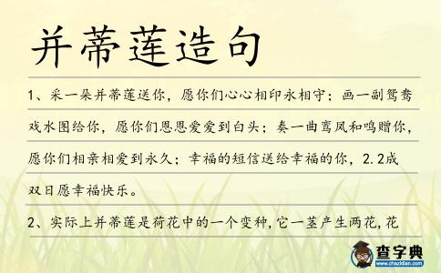并蒂蓮造句