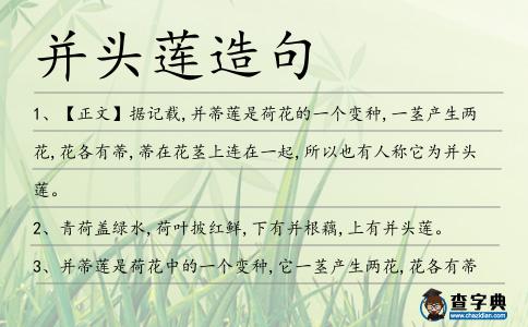 并頭蓮造句