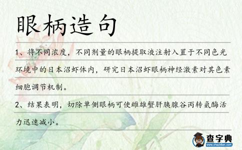 眼柄造句
