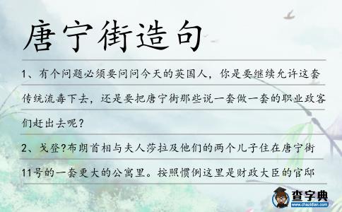 唐寧街造句